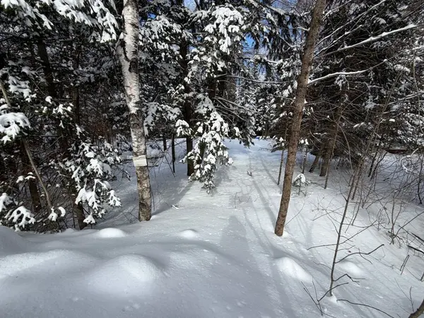 0 Quarry RD, Bancroft, ON K0L 1C0