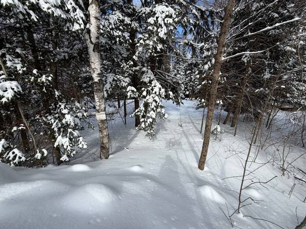 0 Quarry RD, Bancroft, ON K0L 1C0