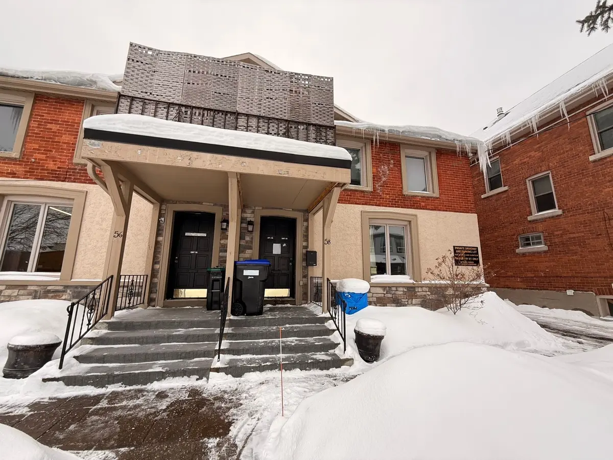 58 Mary ST #Low, Barrie, ON L4N 1T1