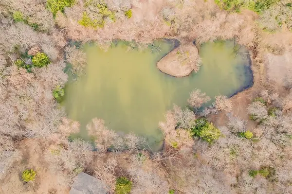 3117 W Division Street, Arlington, TX 76012