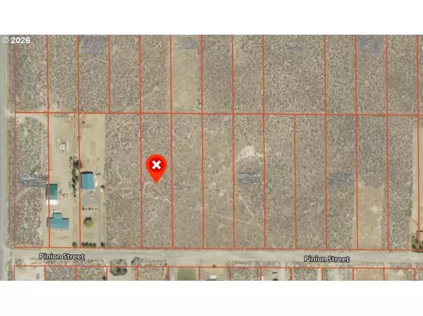 Christmas Valley, OR 97641,Pinion ST