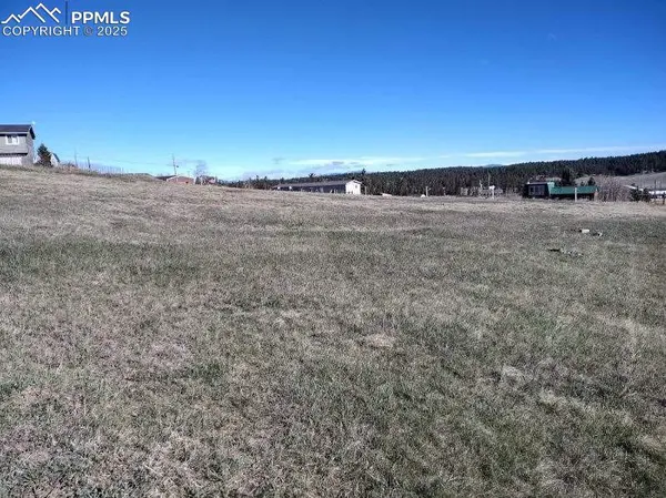 149 Will Scarlet DR, Divide, CO 80814