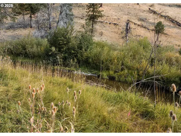 Canyon City, OR 97820,60813 CANYON CREEK LN