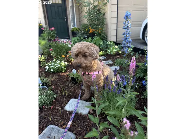 13949 BEAVERCREEK RD #114, Oregon City, OR 97045