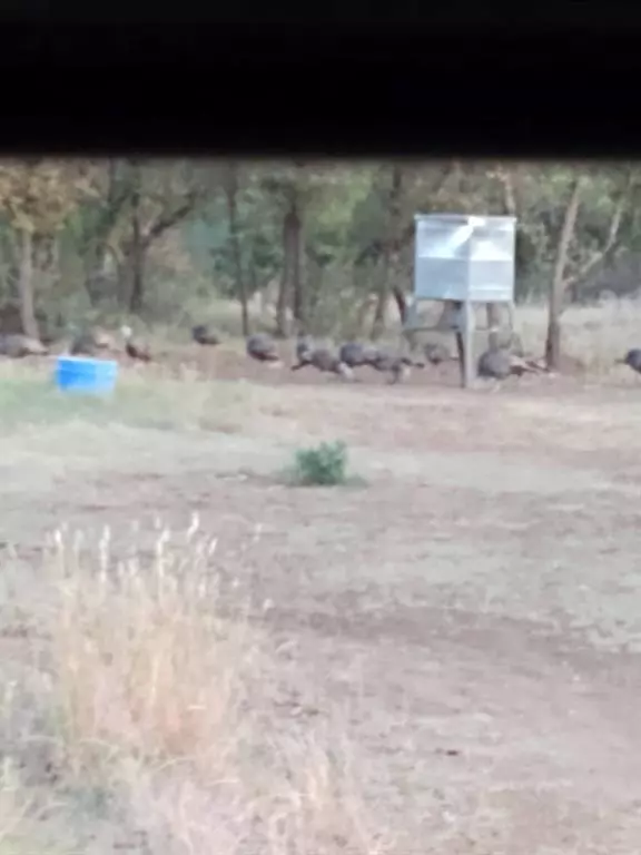 Brady, TX 76825,000 County Road 152