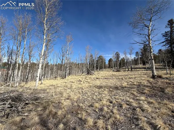 32 Sugar Loaf LN, Jefferson, CO 80456