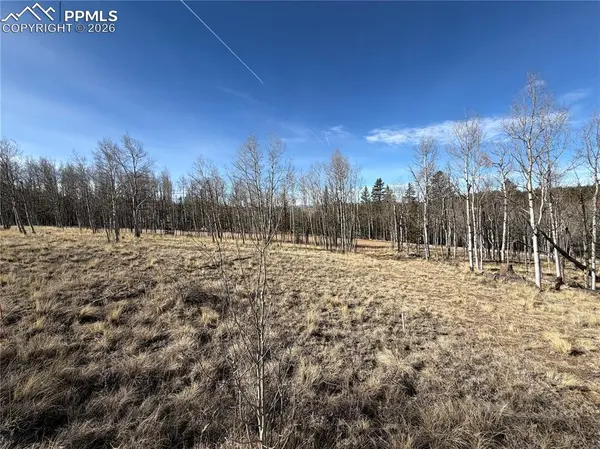 32 Sugar Loaf LN, Jefferson, CO 80456