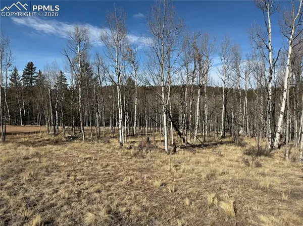 32 Sugar Loaf LN, Jefferson, CO 80456