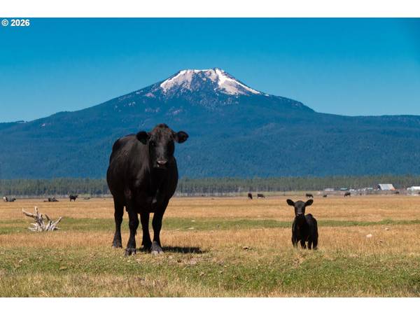 1950 SILVER LAKE RD, Chiloquin, OR 97624