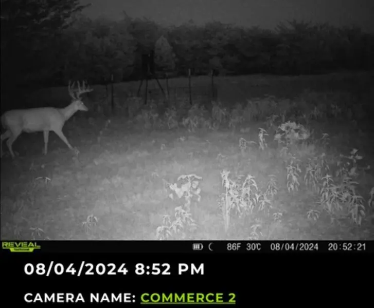 113 AC Fm 3218, Commerce, TX 75428