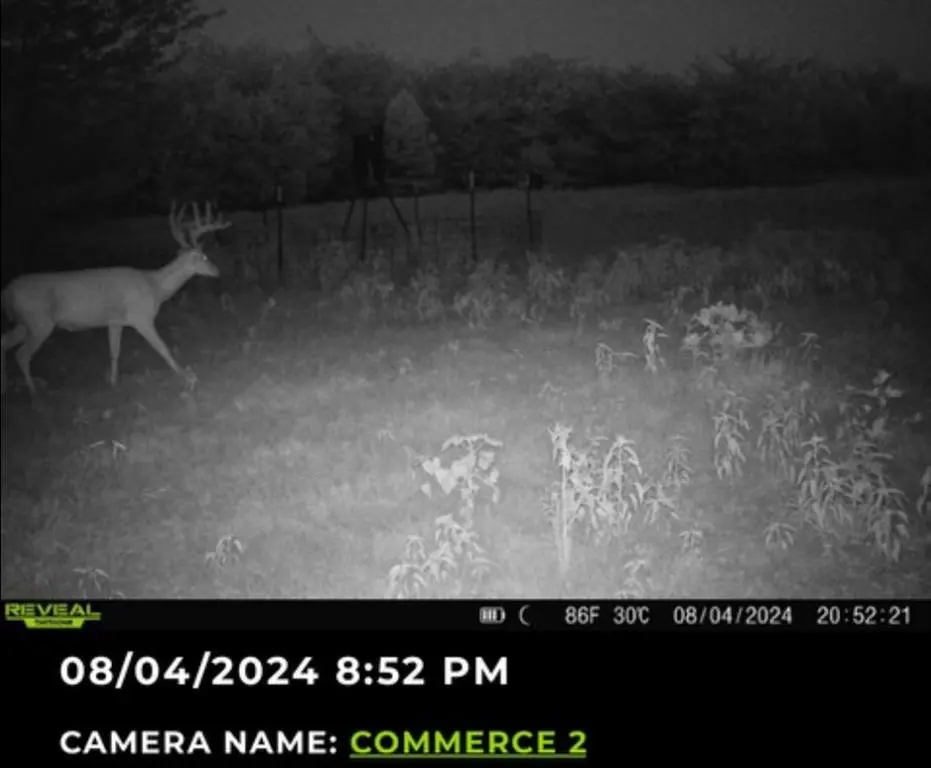 113 AC Fm 3218, Commerce, TX 75428