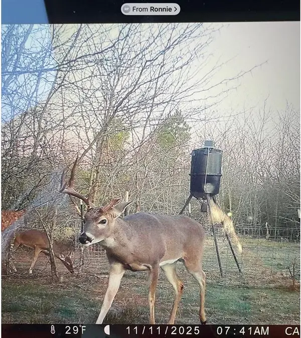 113 AC Fm 3218, Commerce, TX 75428