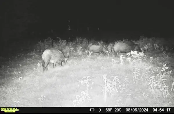 113 AC Fm 3218, Commerce, TX 75428