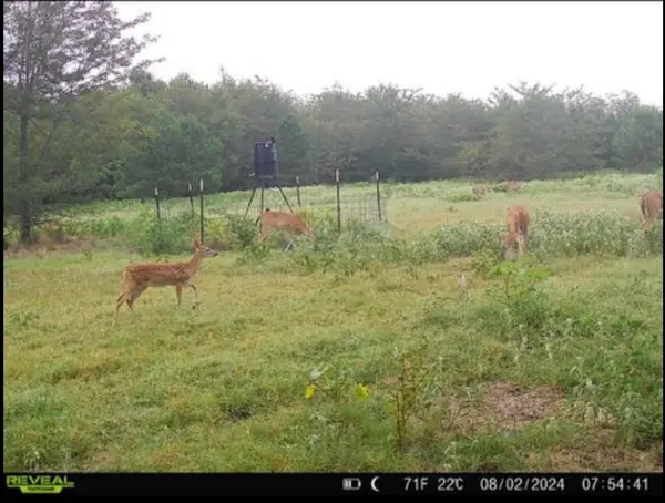 113 AC Fm 3218, Commerce, TX 75428