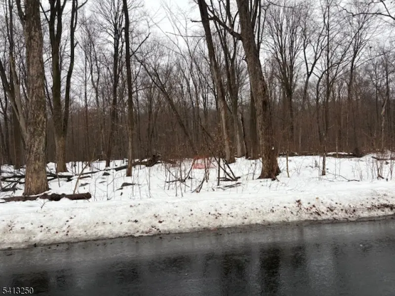 0 Schoolhouse Rd, Jefferson Twp., NJ 07438