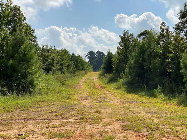 TBD County Road 394, Tatum, TX 75691