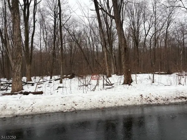 0 Schoolhouse Rd, Jefferson Twp., NJ 07438