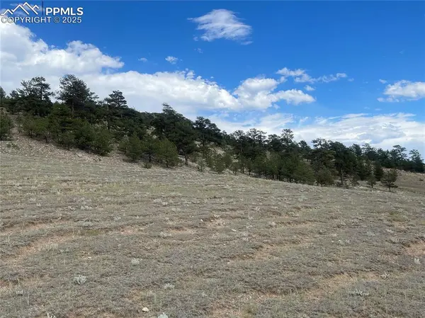 00 Lakeview DR, Hartsel, CO 80449