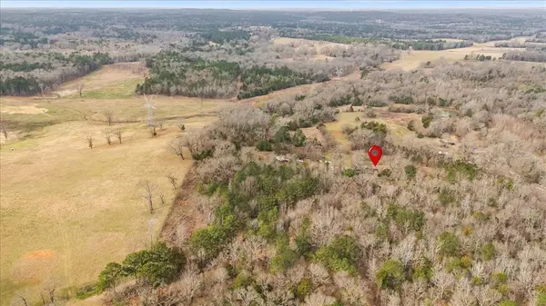 Ben Wheeler, TX 75754,2605 VZ County Road 4923