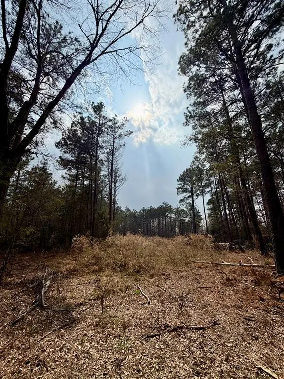 0 Belle Bower Texas Line Road, Logansport, LA 71049