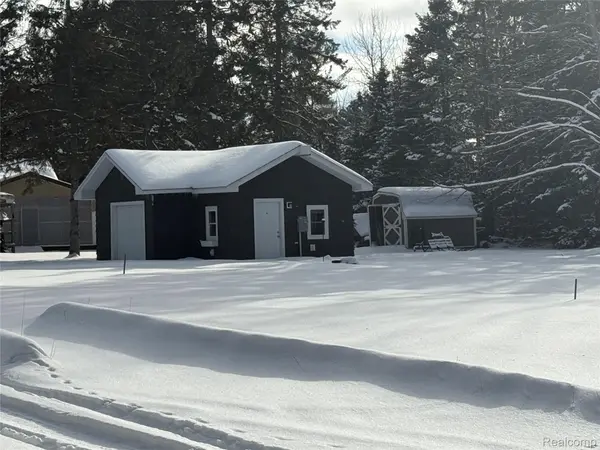 4443 N Cherry RD N, Alcona Township, MI 48742