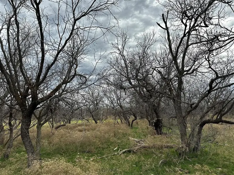 Tract 13 AC CR 105, Abilene, TX 79601