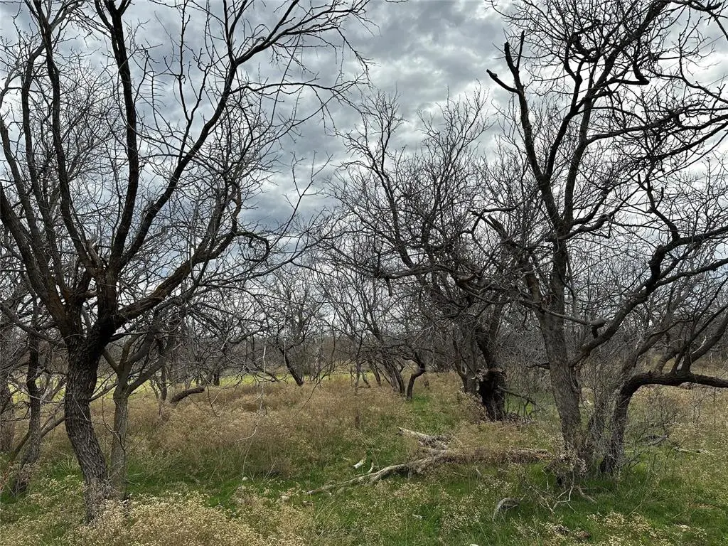 Tract 13 AC CR 105, Abilene, TX 79601