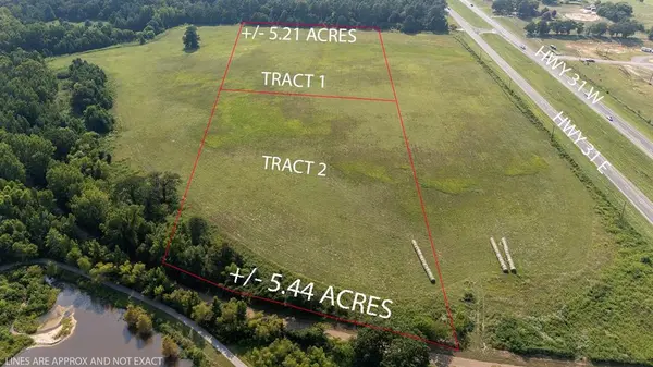 Lot 2 Tx-31, Brownsboro, TX 75756