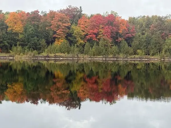 4868 Battersea RD, Frontenac, ON K0H 2H0