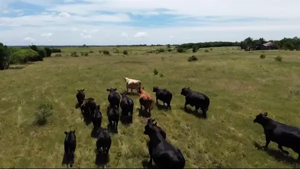 Sherman, TX 75092,7.5 acres Keyes Road