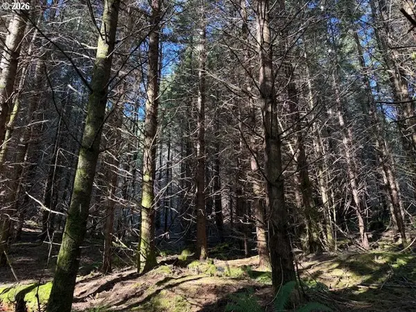 000 Alsea HWY, Alsea, OR 97324