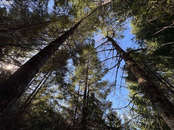 000 Alsea HWY, Alsea, OR 97324