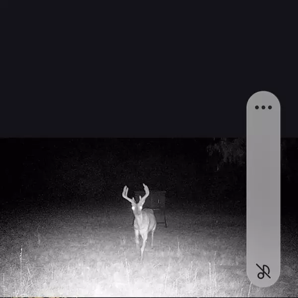 Cisco, TX 76437,5860 County Road 423