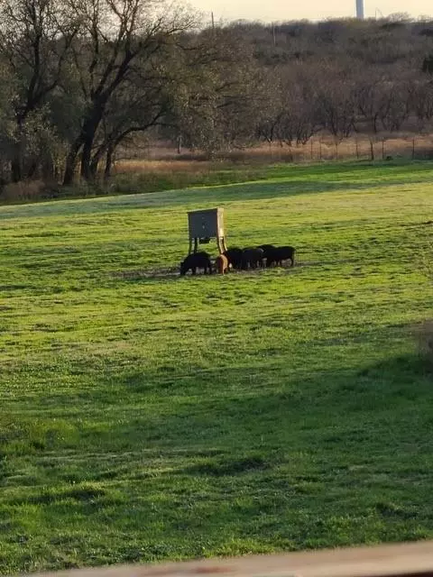 Cisco, TX 76437,5860 County Road 423