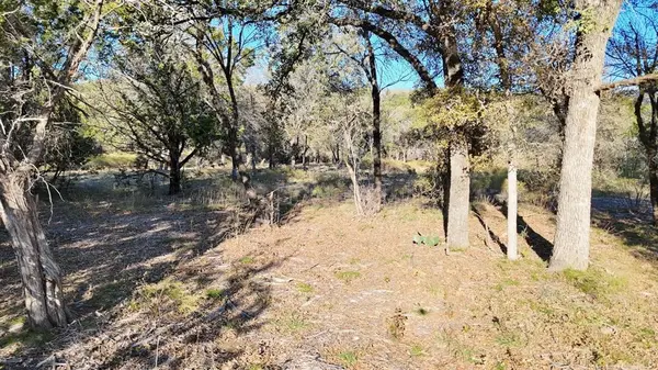 LOT 187 WOODED ACRES Drive, Mineral Wells, TX 76067