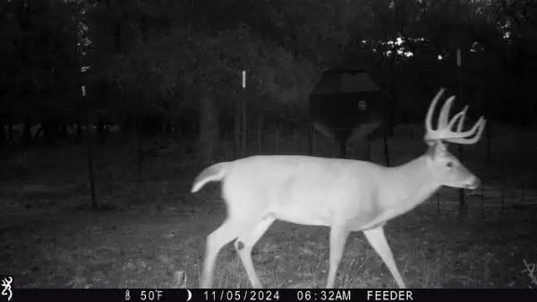 TBT FM 175, Jacksboro, TX 76458