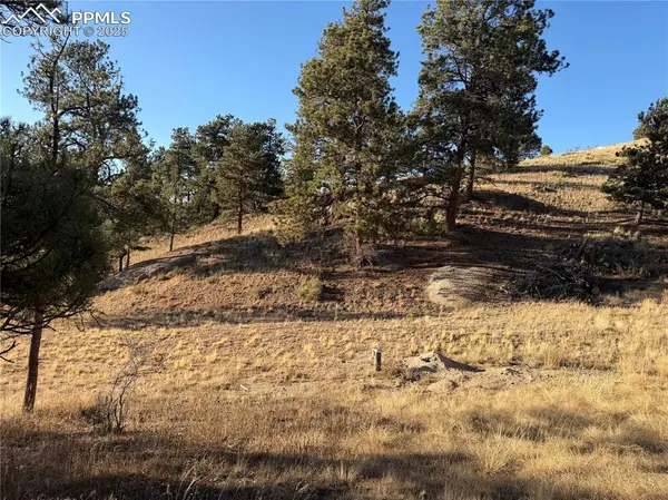 71 Elkhorn CIR, Florissant, CO 80816