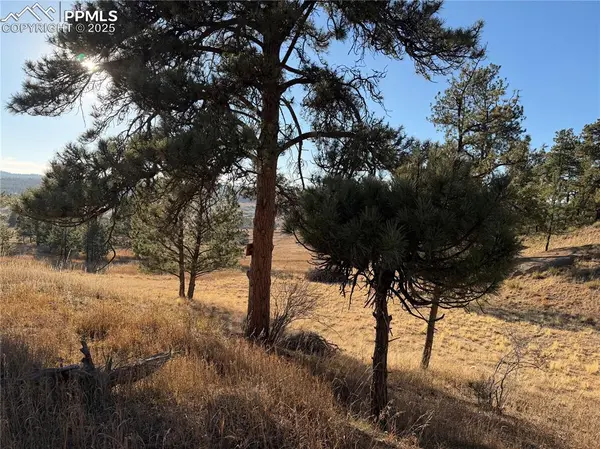 71 Elkhorn CIR, Florissant, CO 80816