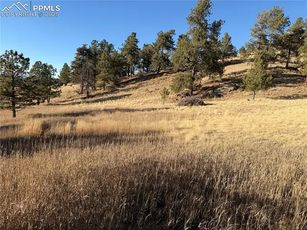 71 Elkhorn CIR, Florissant, CO 80816