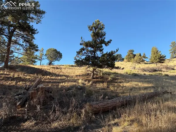 71 Elkhorn CIR, Florissant, CO 80816