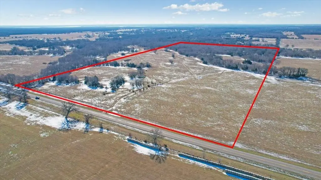 TBD 42.972 Acres FM-1396 Road, Ivanhoe, TX 75447