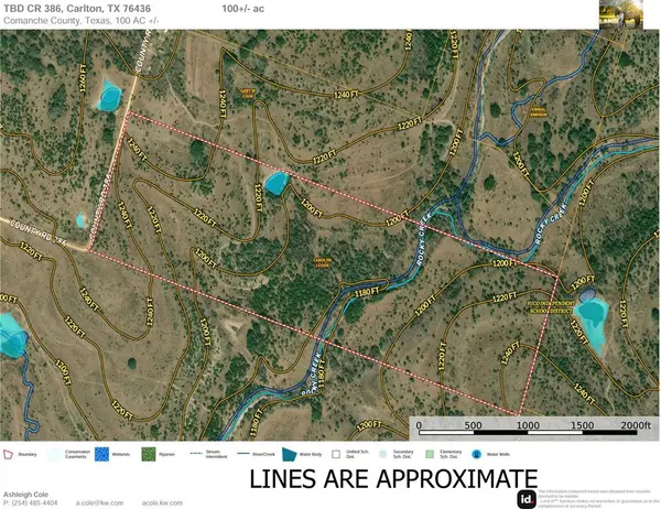 TBD CR 386, Carlton, TX 76436