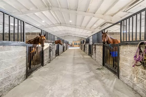 Stephenville, TX 76401,6670 A Fm 2303