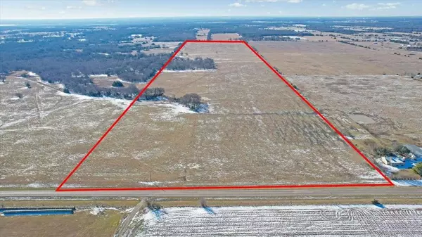 Ivanhoe, TX 75447,TBD 100 Acres FM-1396