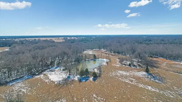 TBD 42.972 Acres FM-1396 Road, Ivanhoe, TX 75447