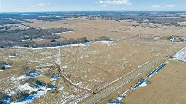 TBD 42.972 Acres FM-1396 Road, Ivanhoe, TX 75447