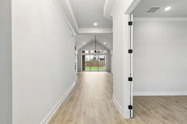 Mckinney, TX 75071,312 Bee Balm