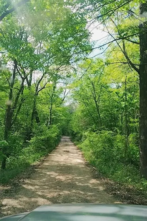 520 County Road 36980, Arthur City, TX 75411