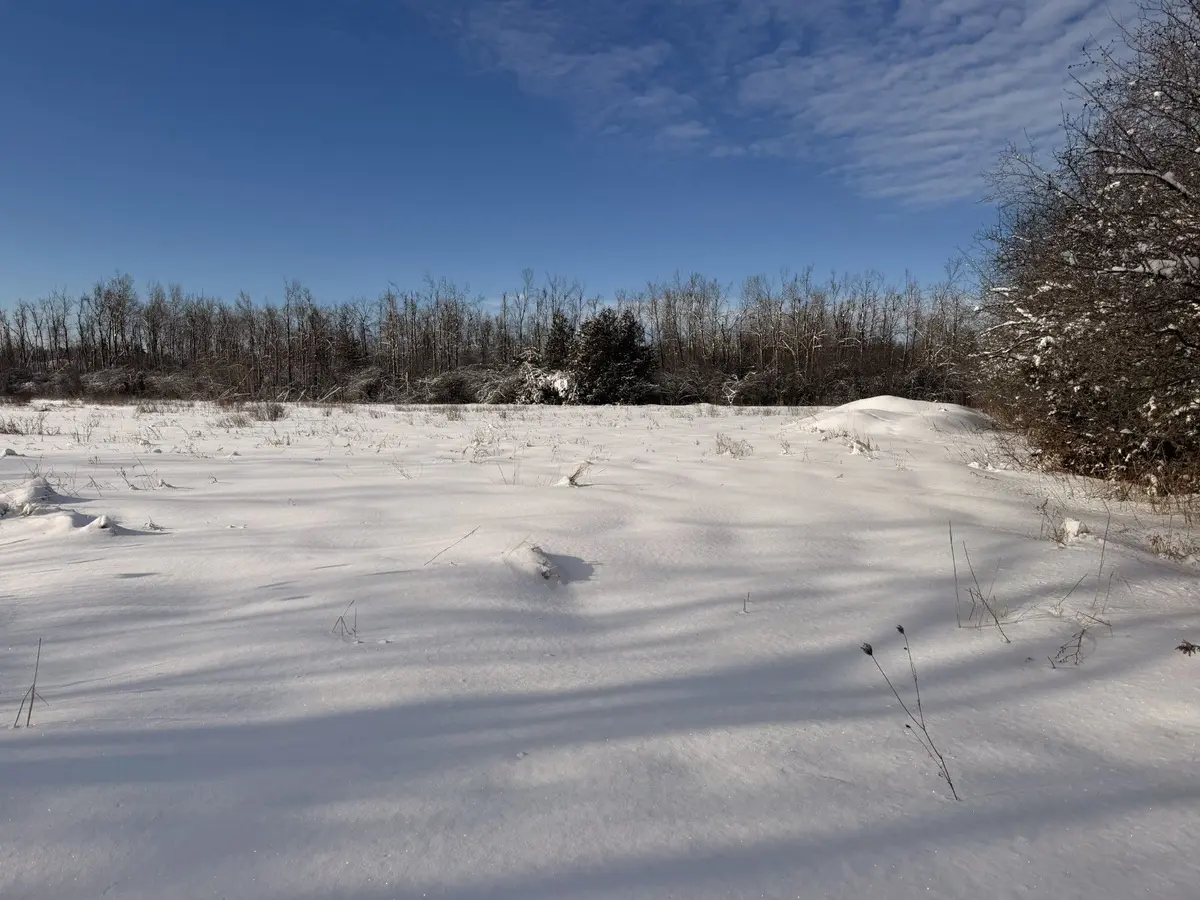 N/A Traceys Hill RD, Kawartha Lakes, ON K9V 4R5