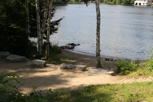 1020 Birch Glen RD #V 7 W 6, Lake Of Bays, ON P0B 1A0